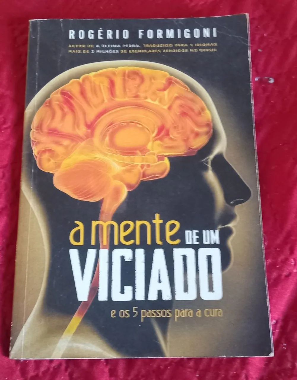 Livro a mente de um viciado