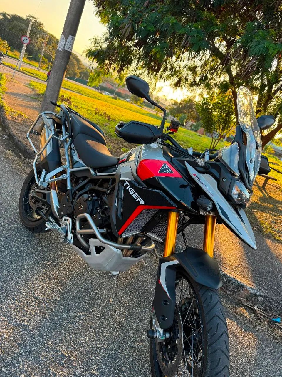 Tiger 900cc Rally Pro
