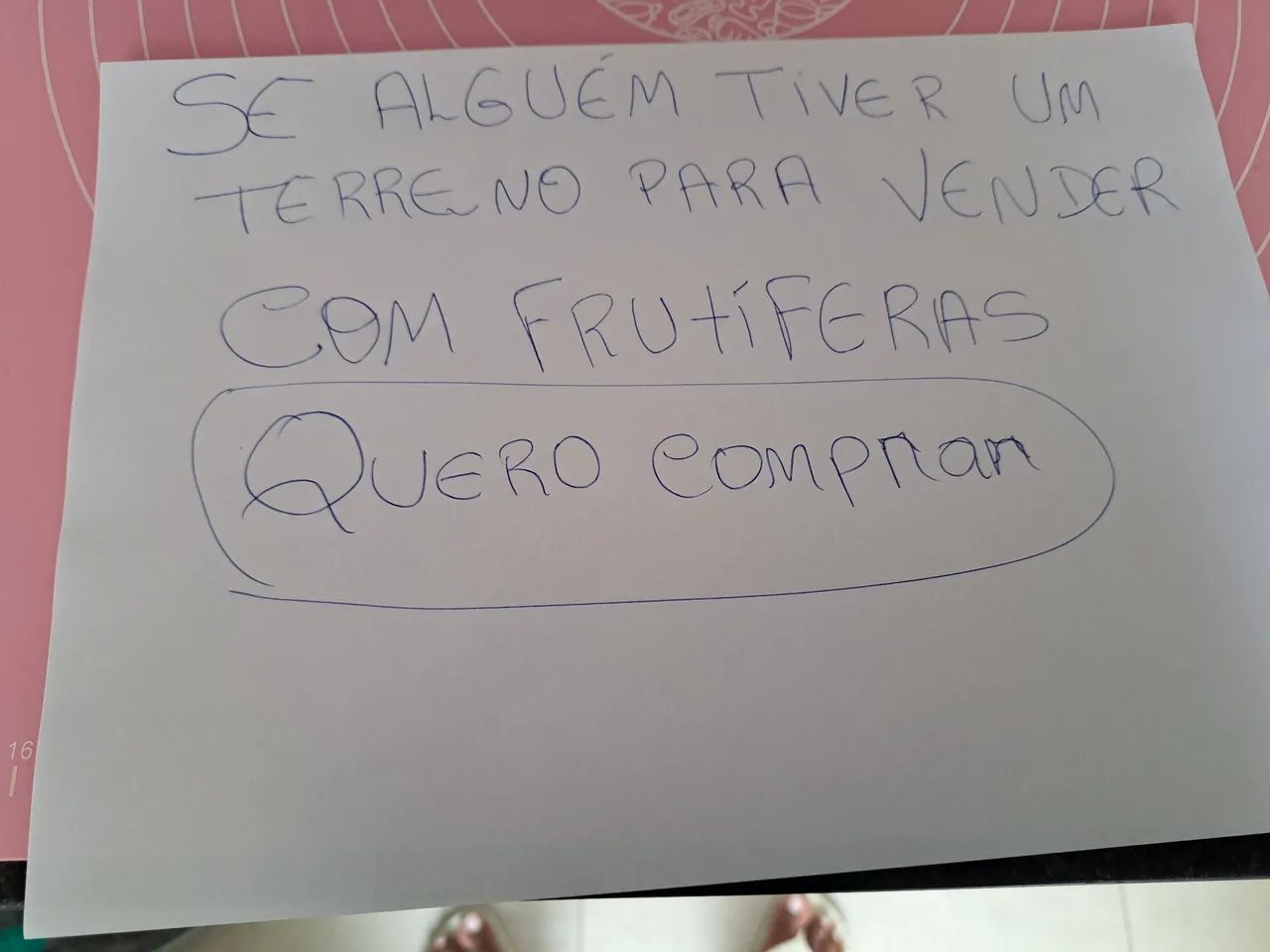 COMPRO TERRENO COM FRUTIFERAS - Foto 2