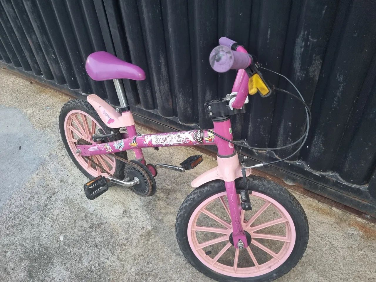 Biscicleta  - Foto 2