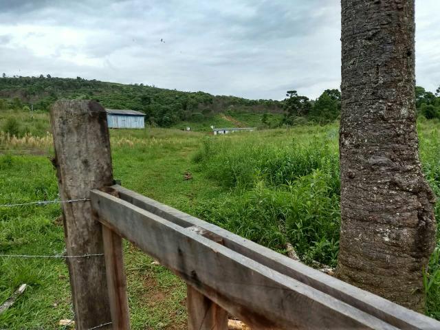 Fazenda para plantio - Foto 18