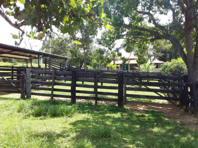 Vendo chácara no município de caldas novas - Foto 8