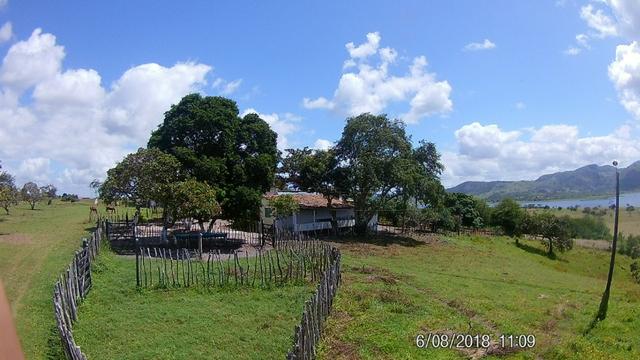 Vendo Fazenda na Cidade de Bonito - Pe com 72 hect. / represa do prata - Foto 9