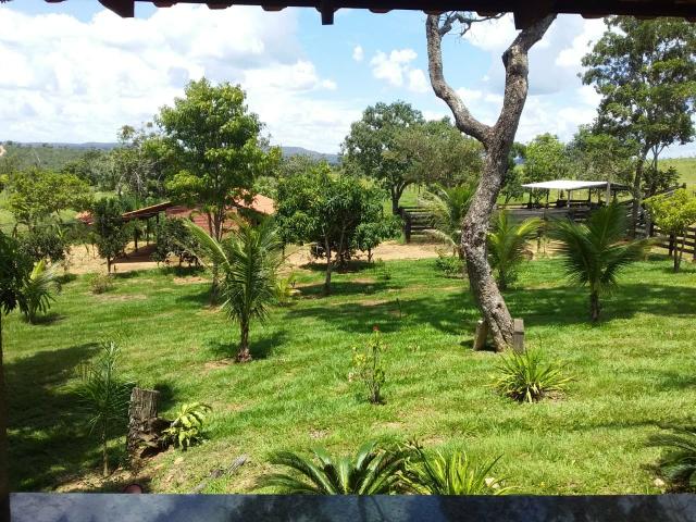 Vendo chácara no município de caldas novas - Foto 12