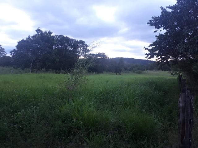 Sitio próximo do manso - Foto 14