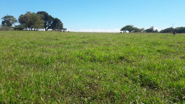 8,00 Alqueires, ótima localização, próximo Tangará da Serra- MT - Foto 2
