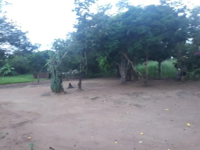 Sitio próximo do manso - Foto 13