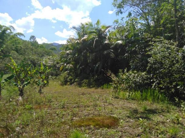 Chácara com 5.500m² - América de Cima - Morretes