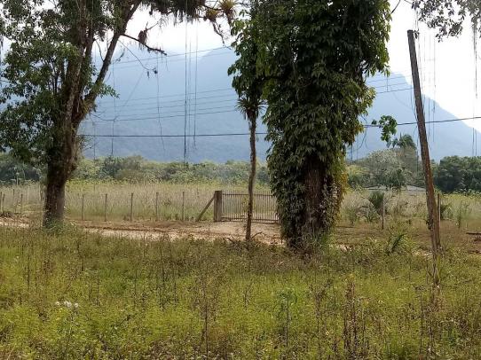 Chácara - Prox Centro - Morretes - Foto 16