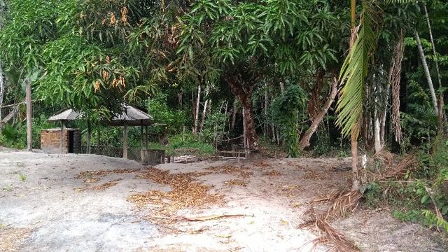 50 hectares a 25 km de castanhal por 250 mil zap * - Foto 11