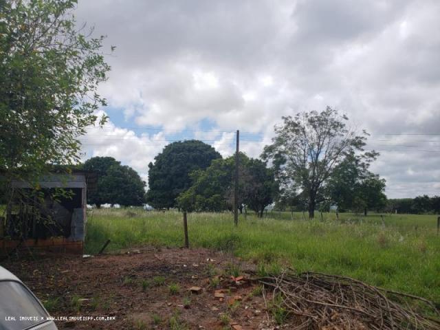 Sítio para venda em martinópolis, represa de martinopolis - Foto 11