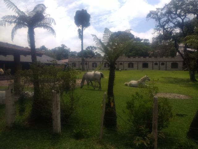 Fazenda em Tijucas do Sul -PR - Foto 4