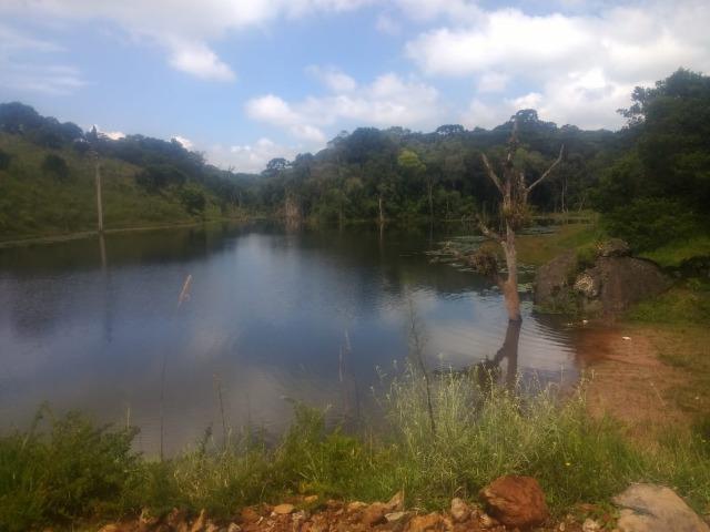 Fazenda em Tijucas do Sul -PR - Foto 15