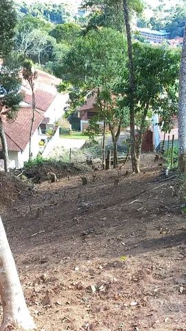 Terreno Braunes - Foto 3