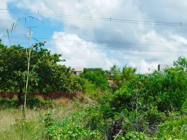 4 lotes em Jacuma / Carapibus Beira de Pista - Foto 2