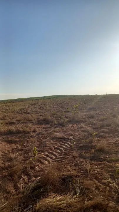 Fazenda em Río Sono/Novo Acordo. 35 mil por alqueire. - Foto 3