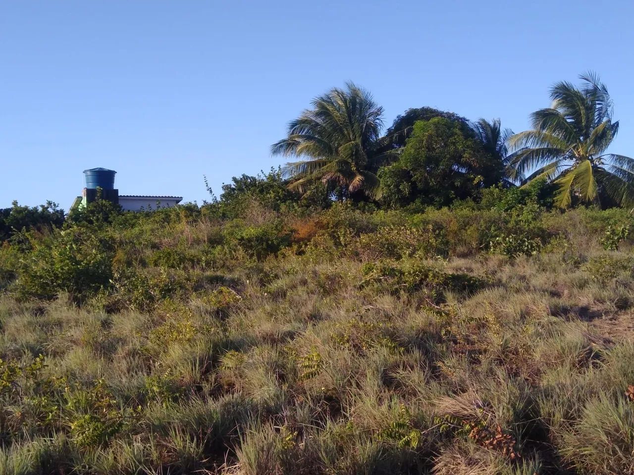 Vendo Área com 2200m2 em Gramame/ Praia do Sol há 200m do Mar  - Foto 2