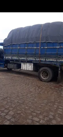 Bagaço de cana natural ou branco