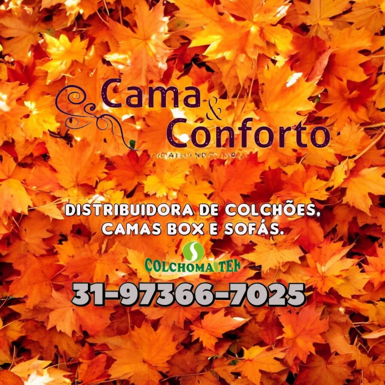 CAMA BOX CASAL NOVAS / 10CM DE ESPUMA D33 / HIPER OFERTA  - Foto 2