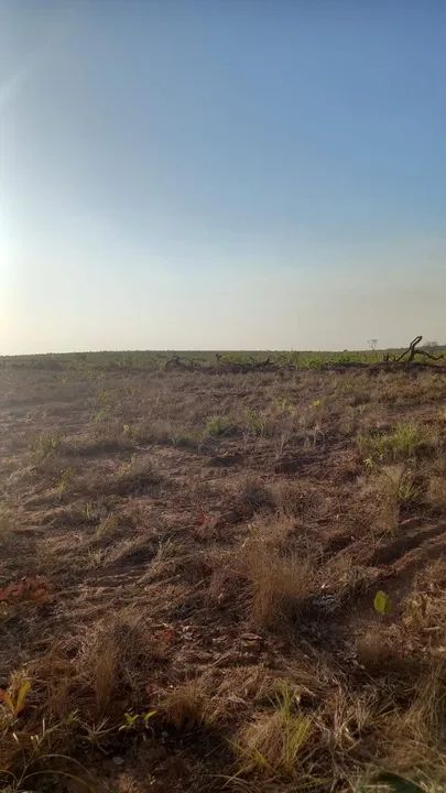 Fazenda em Río Sono/Novo Acordo. 35 mil por alqueire. - Foto 4