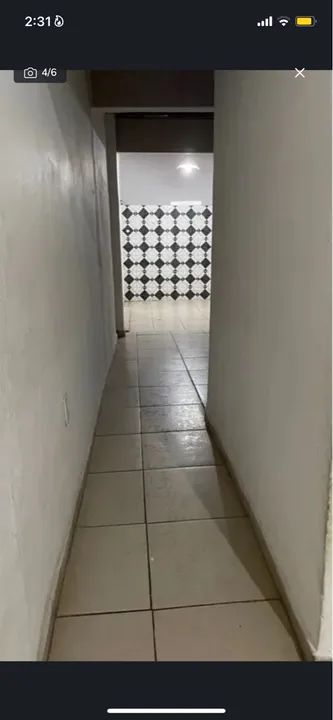 Foto - Natal - Alecrim