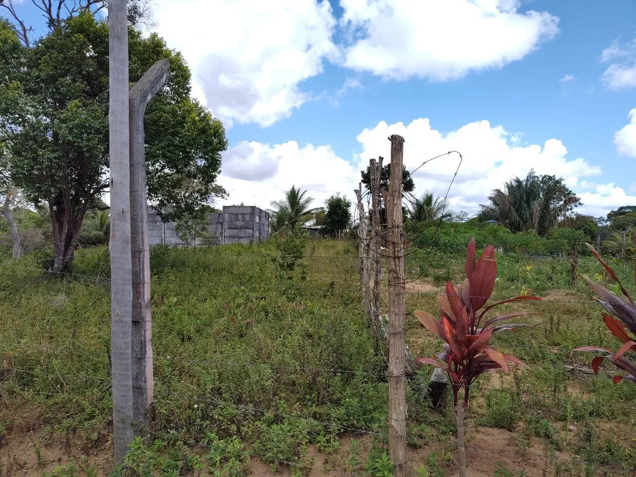 Mini sítio ! - Foto 5