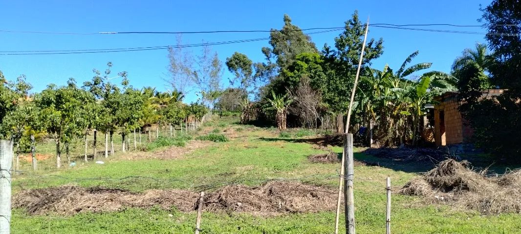 Terreno com 1500m2 - Foto 4
