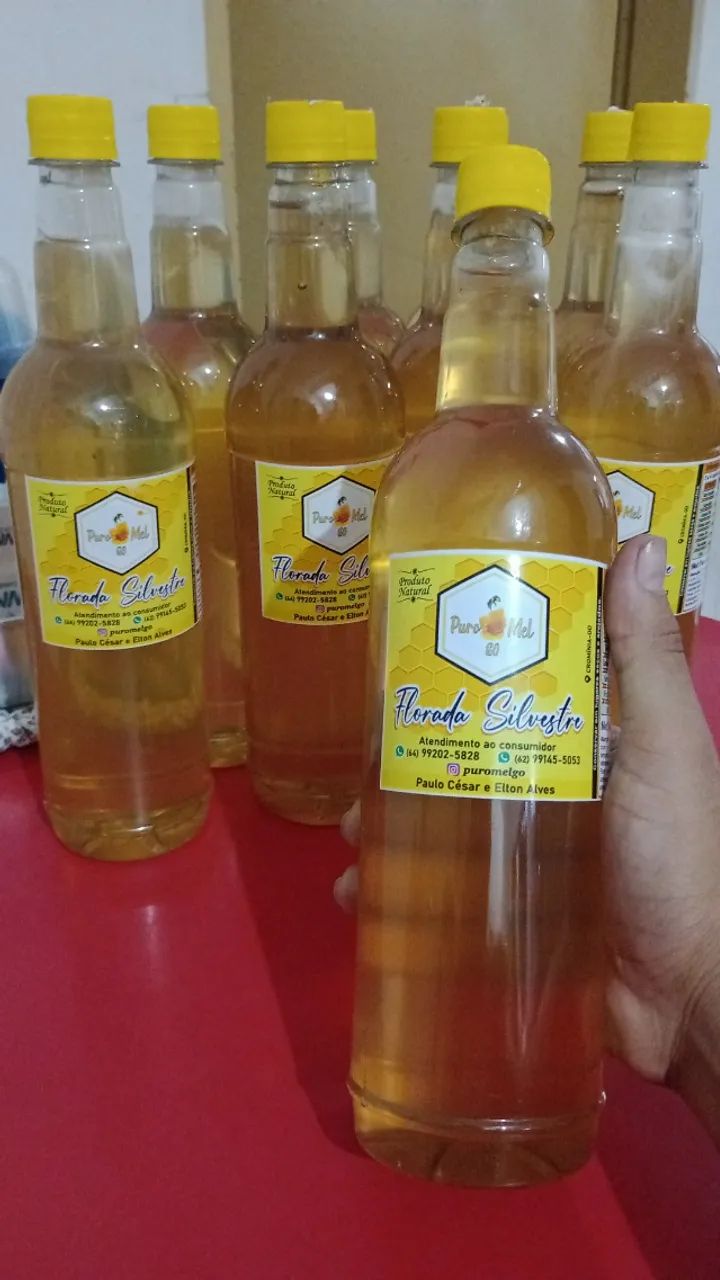 Mel da Florada Cipó Uva + Assa Peixe - Foto 3