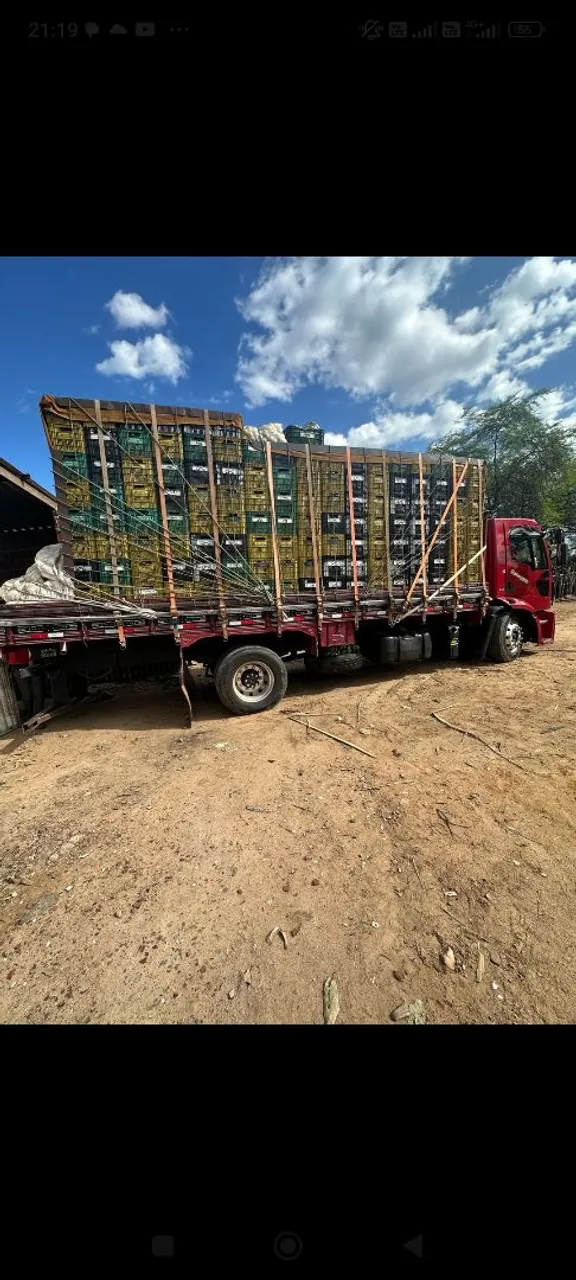 Ford Cargo 1519