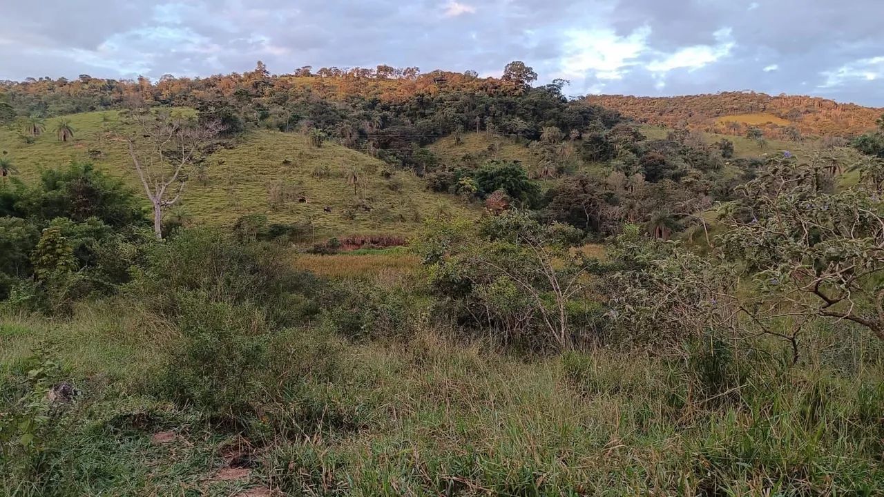 Terreno de 5 hectares em em serra azul  - Foto 4