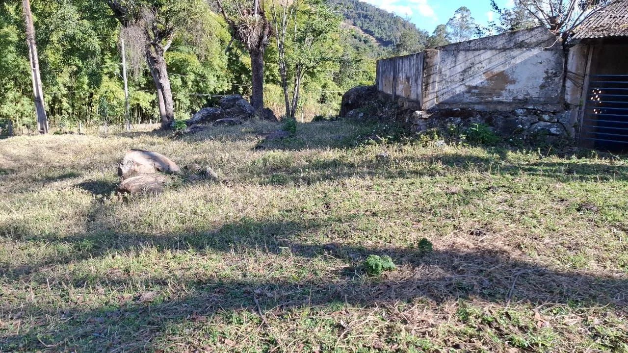 Sitio 4,8 Hectares <br>Itajubá MG  - Foto 4