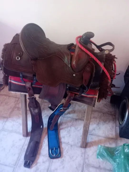 Sela Americana de laço  - Foto 2