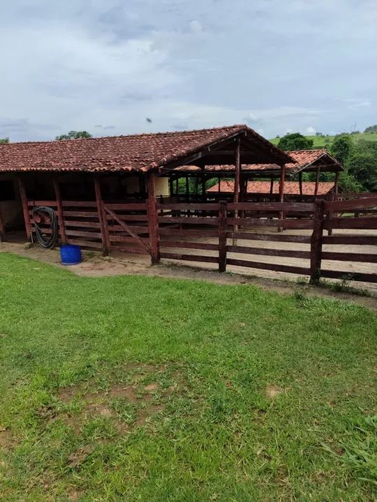 Fazenda de 79 alqueires em Corumba-Go  - Foto 4