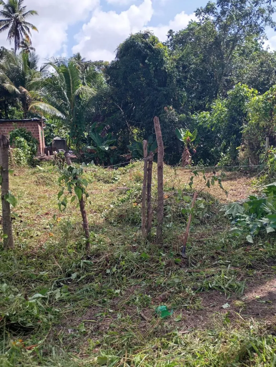 Terreno em Igarassu medindo 10x 28