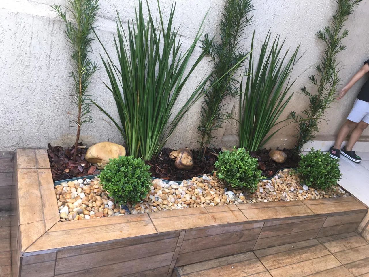 Jardim Vertical para seu Lar