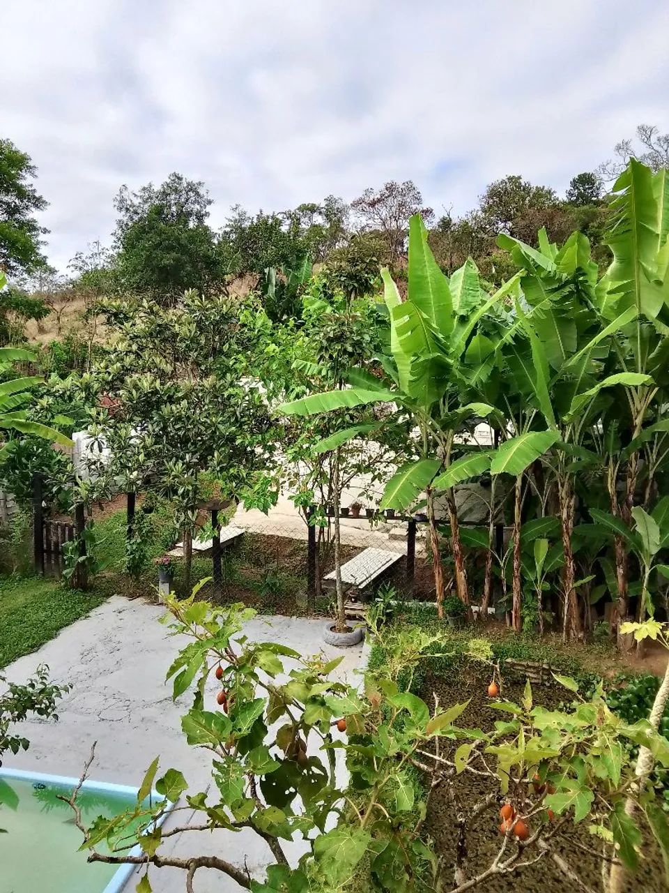 Chacrinha mil metros  - Foto 2