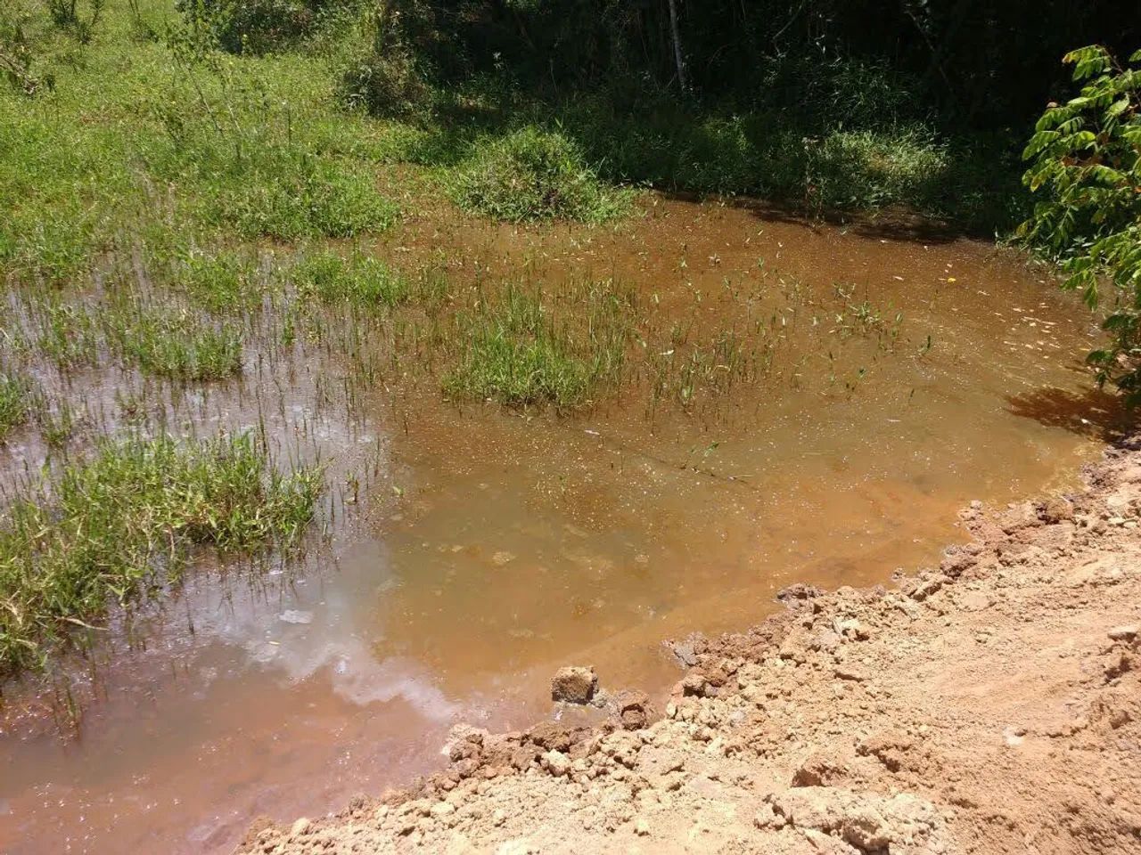 Procurando sossego? Ótimo terreno para sítio perto de BH - Foto 10