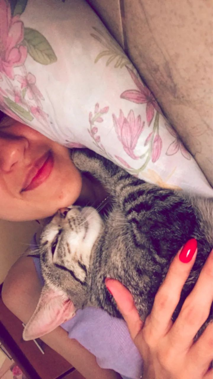 Gatinha castrada para doação responsável  - Foto 3