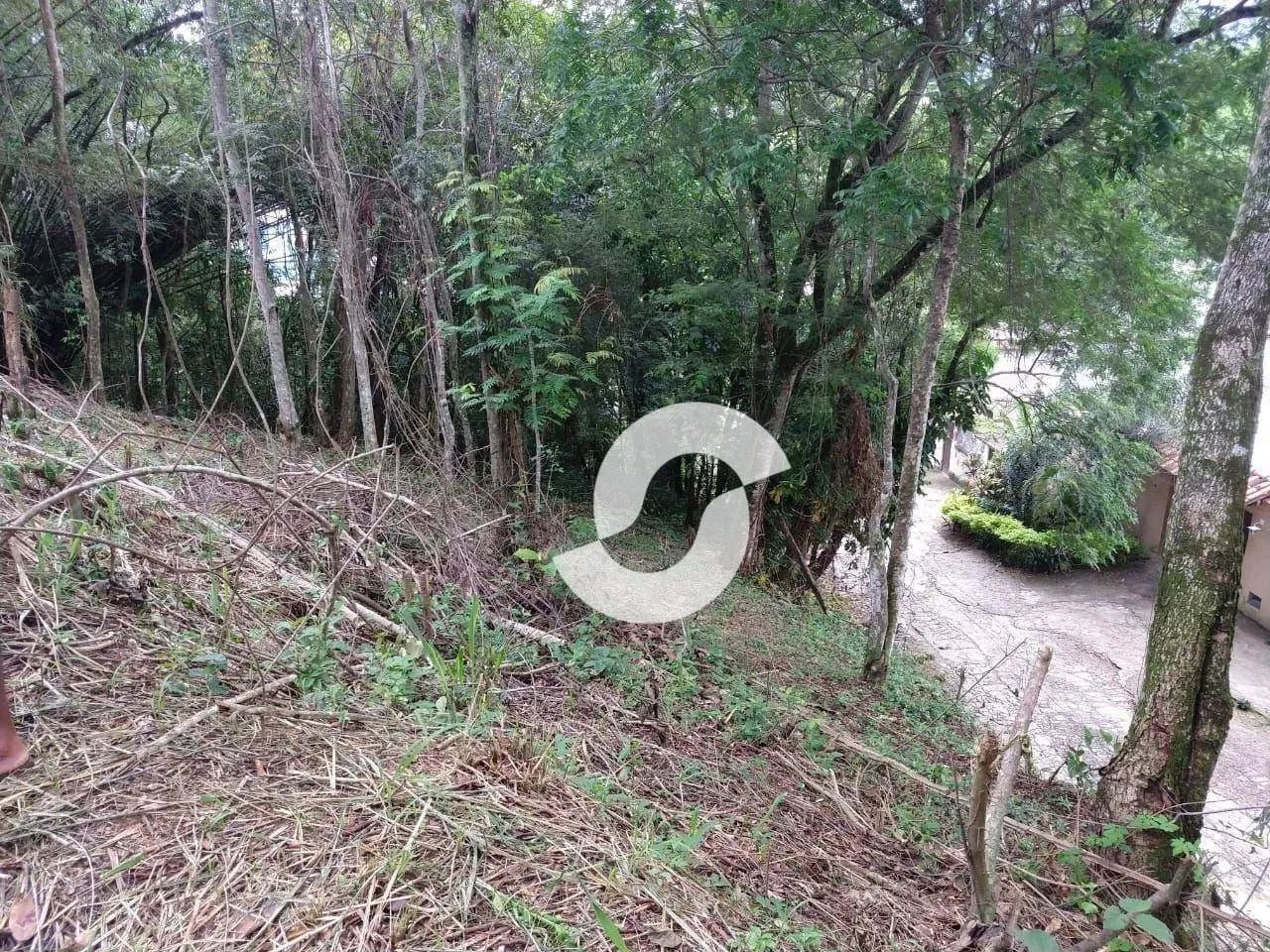 Terreno à venda, 2500 m² por R$ 600.000,00 - Maravista - Niterói/RJ - Foto 4