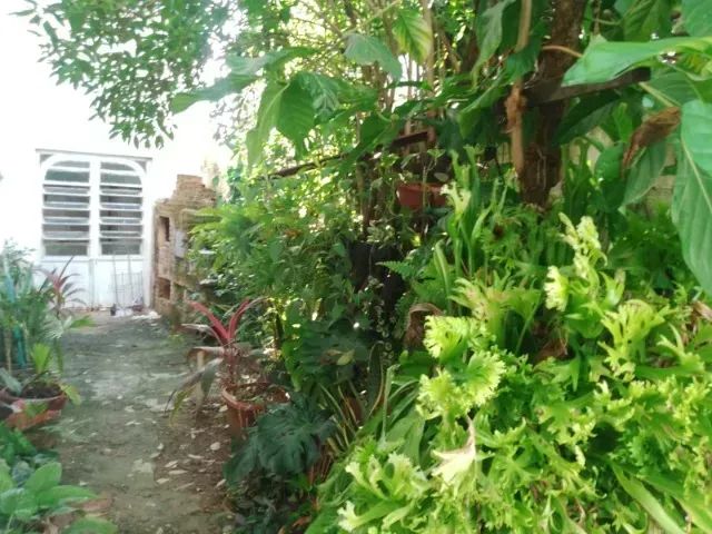 Casa duplex à venda, nos arredores da UFRPE, em Nova Morada, Caxangá, com 5 quartos. - Foto 4