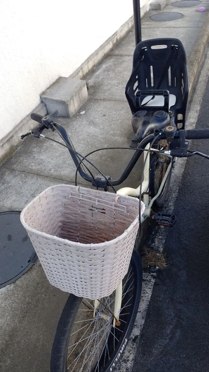 Bicicleta com Cesto