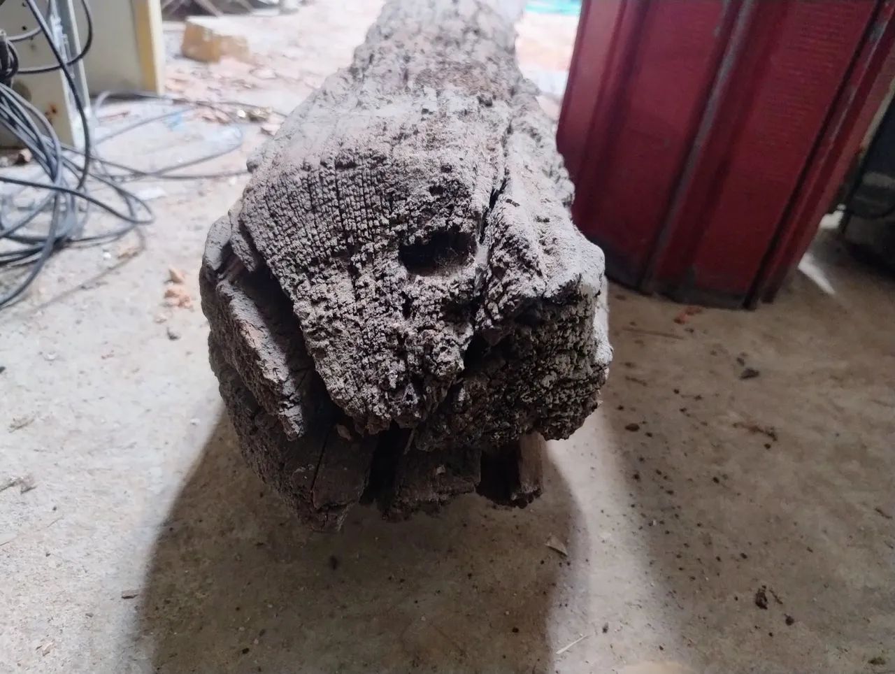 tora de madeira para decoração - Foto 3