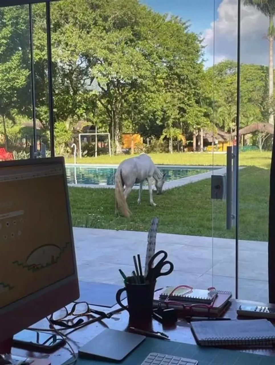 SITIO EM GUARATIBA - Foto 7