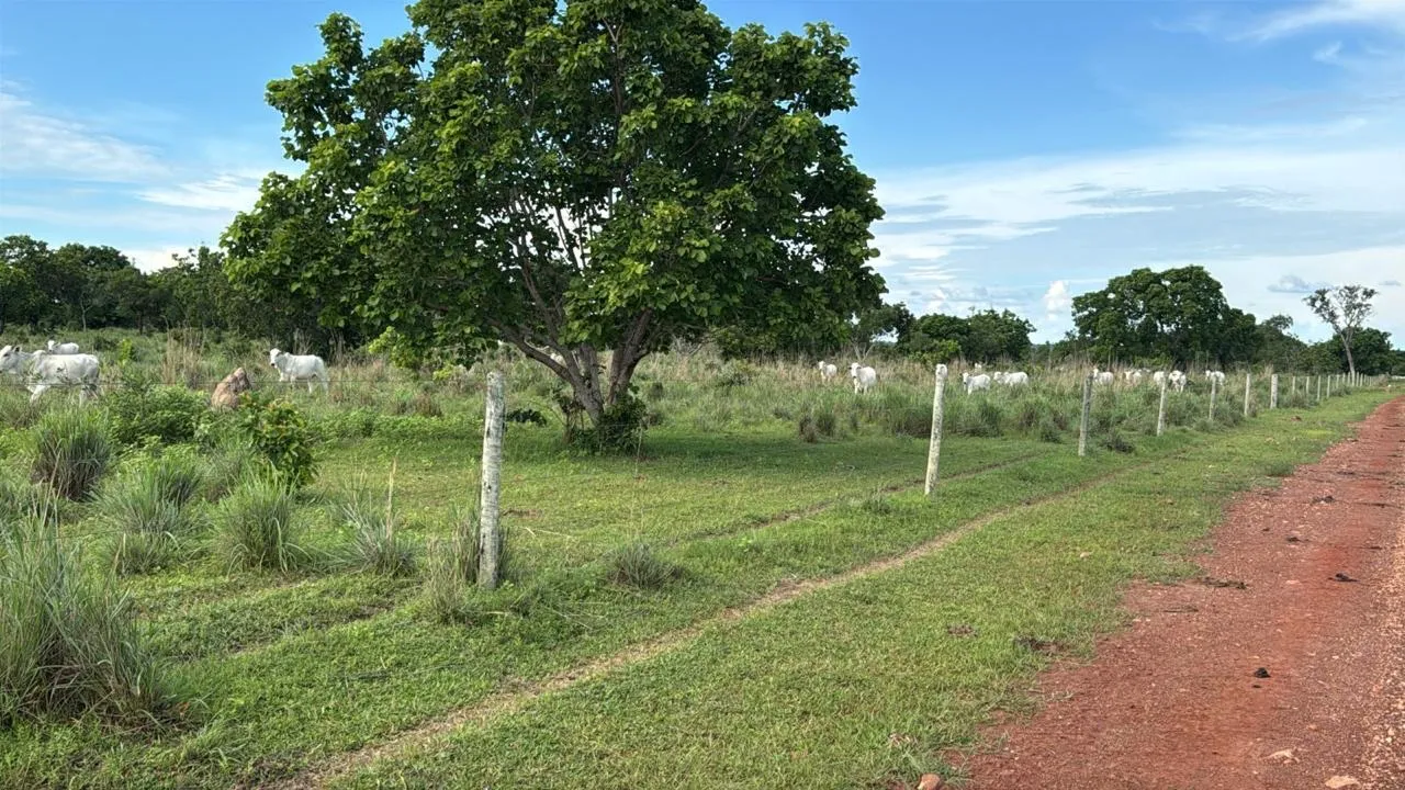 Fazenda de Sonho à Beira do Rio Paranã - Porteira Fechada