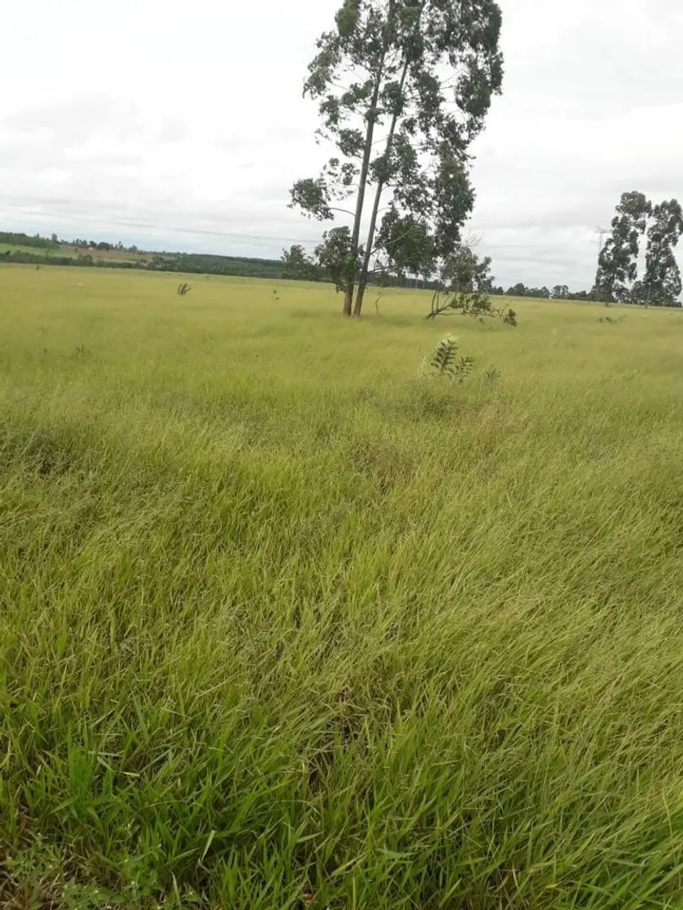 Lote em condomínio em rodovia castelo Branco - Centro - Águas de Santa Bárbara/SP