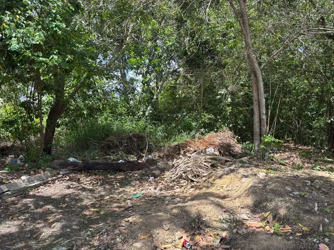 4 LOTES DE TERRENO COM 200M2 CADA - Foto 5