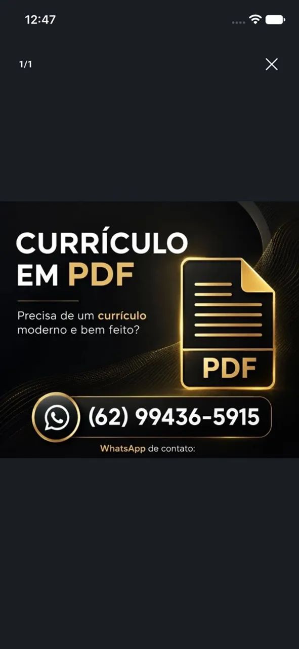 CURRÍCULO PROFISSIONAL