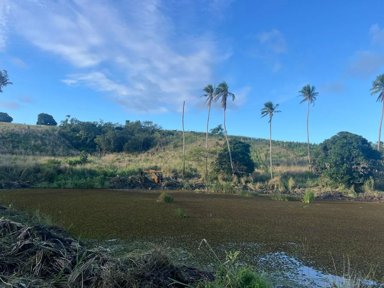 terreno em glória do goita  - Foto 3