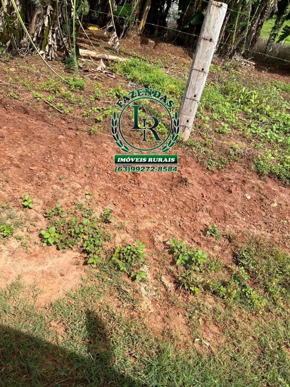 Fazenda Próximo a Araguaina TO - Foto 4
