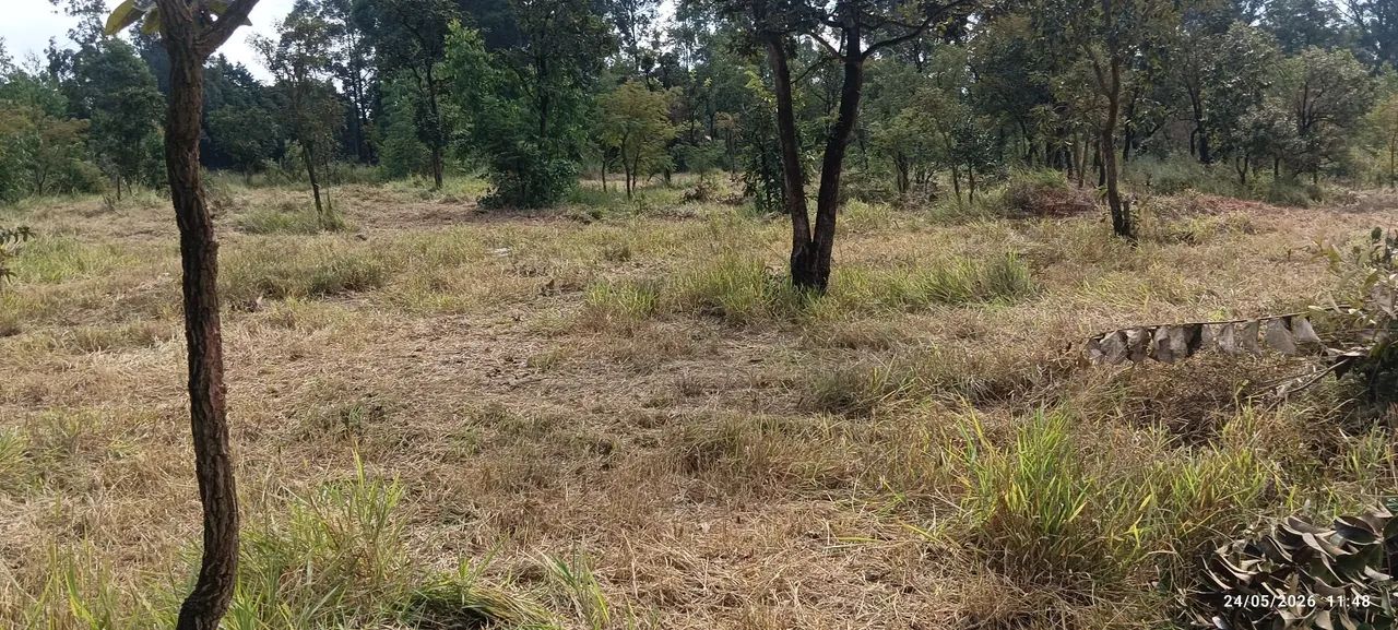 Terreno para chácara  - Foto 2